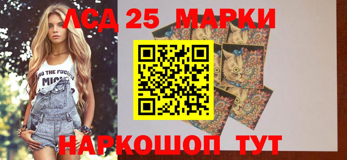 Камышлов  Лсд 25 экстази кислота  Лсд 25 экстази ecstasy  Вход с VPN 