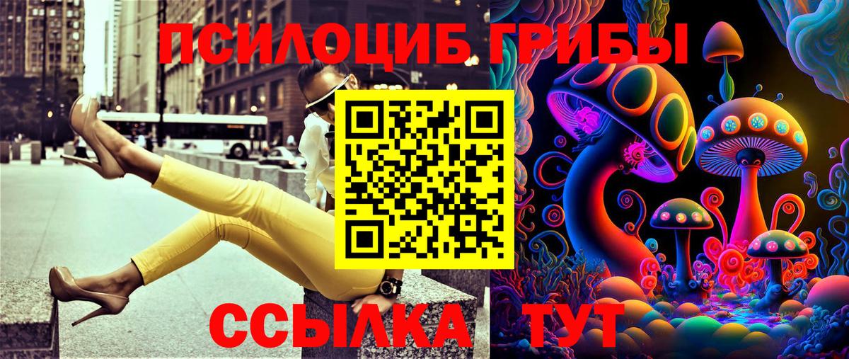 Псилоцибиновые грибы прущие грибы Камышлов