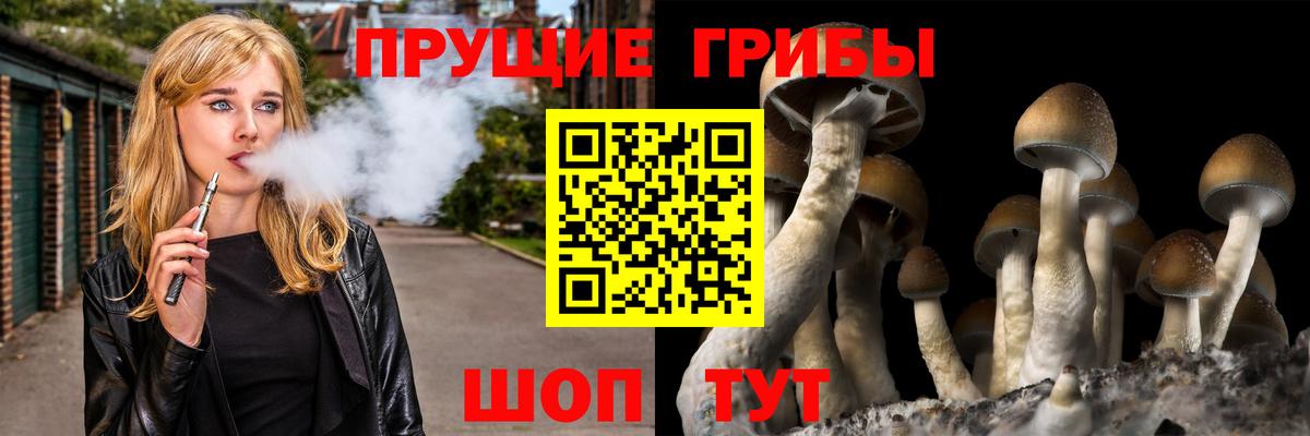 Галлюциногенные грибы GOLDEN TEACHER  Галлюциногенные грибы Psilocybe  Вход с VPN  Камышлов 
